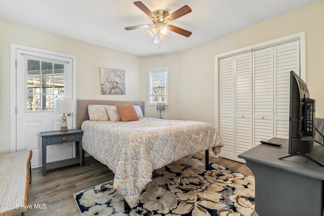 bedroom featuring ceiling fan, dark hardwood / wood-style floors, and a closet