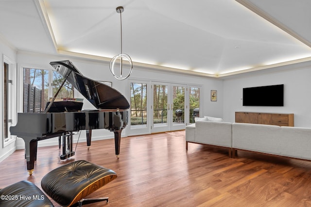 interior space with a raised ceiling and hardwood / wood-style floors