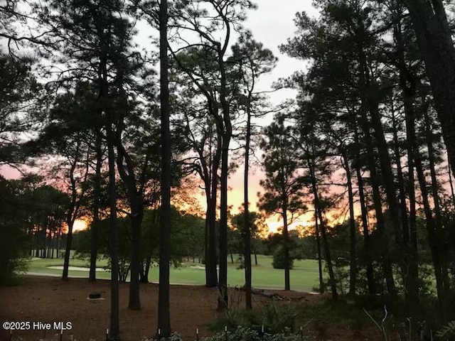 view of nature at dusk