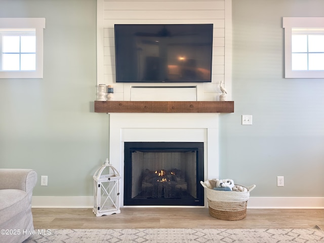 room details featuring a large fireplace and wood-type flooring