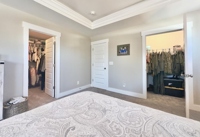 bedroom with carpet floors, a walk in closet, a raised ceiling, crown molding, and a closet