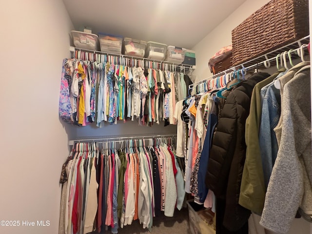 view of spacious closet