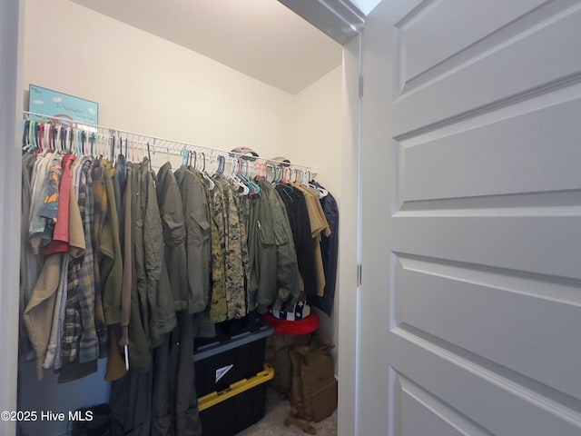 view of spacious closet