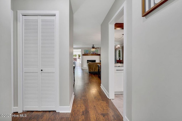 corridor featuring dark hardwood / wood-style flooring