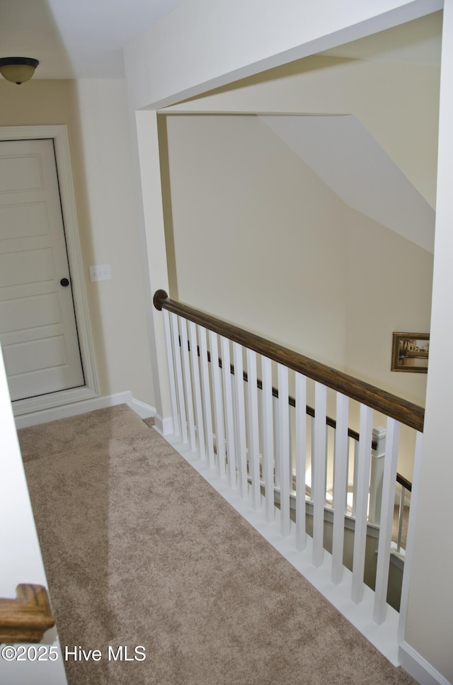 hallway featuring carpet floors