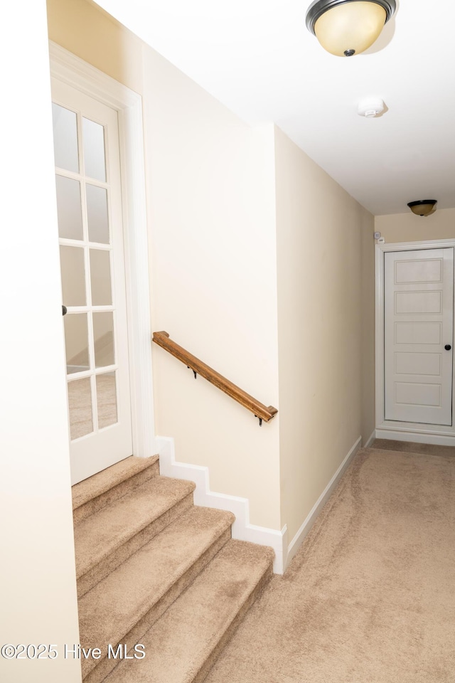 stairs featuring carpet floors