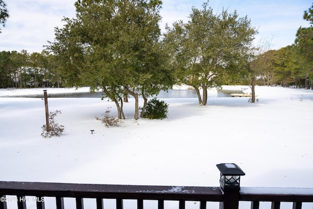 view of snowy yard