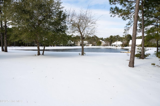 view of yard layered in snow