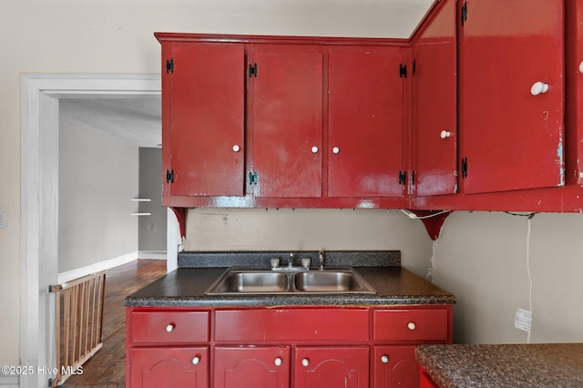 kitchen featuring sink, radiator heating unit, and dark wood-type flooring