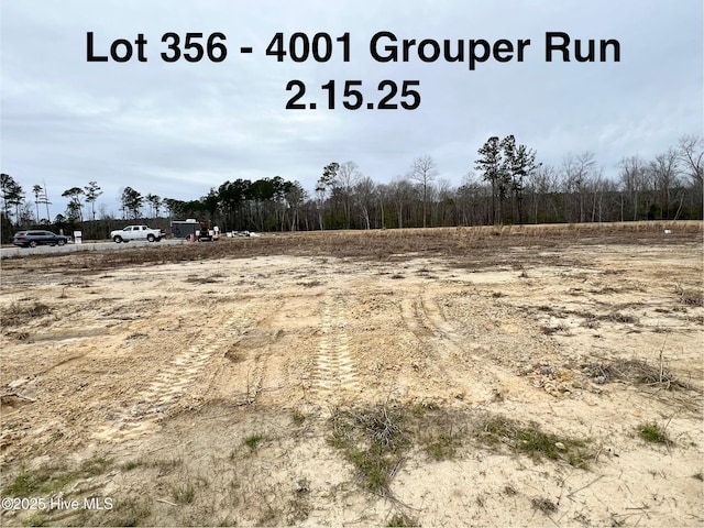 4001 Grouper Run, New Bern, NC 28562 - view of nature