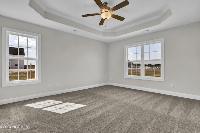 carpeted spare room with ceiling fan, a raised ceiling, and ornamental molding