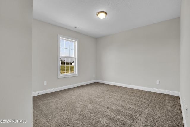 spare room with carpet floors