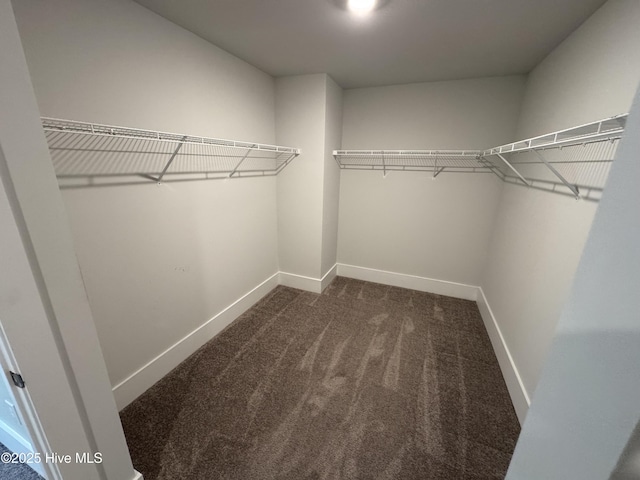 spacious closet featuring dark carpet