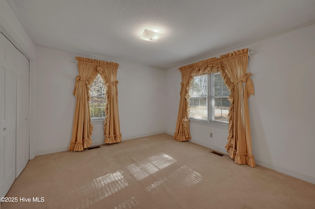 empty room with carpet flooring, crown molding, and a textured ceiling