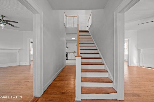 staircase featuring wood-type flooring, ornamental molding, and ceiling fan