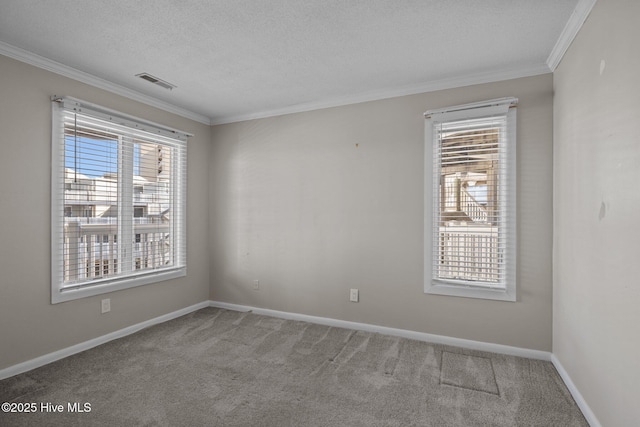 empty room featuring crown molding, carpet floors, and a textured ceiling