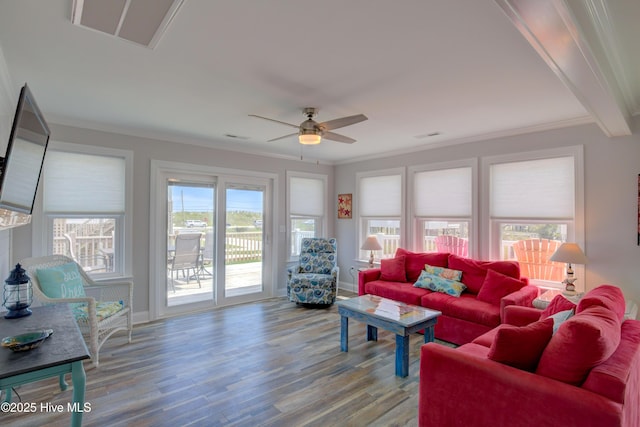 living room with ceiling fan, wood-type flooring, and crown molding