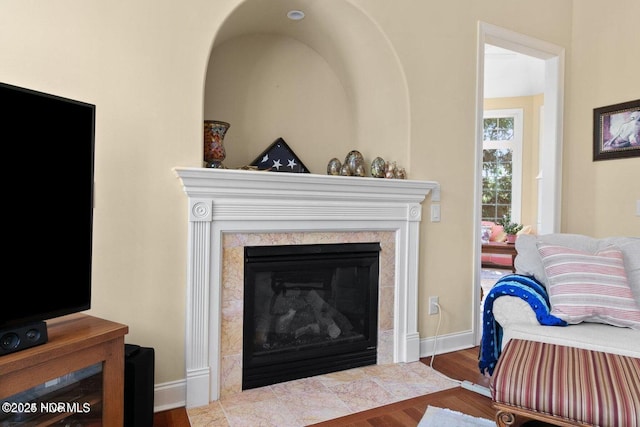 living area featuring wood finished floors, baseboards, and a premium fireplace