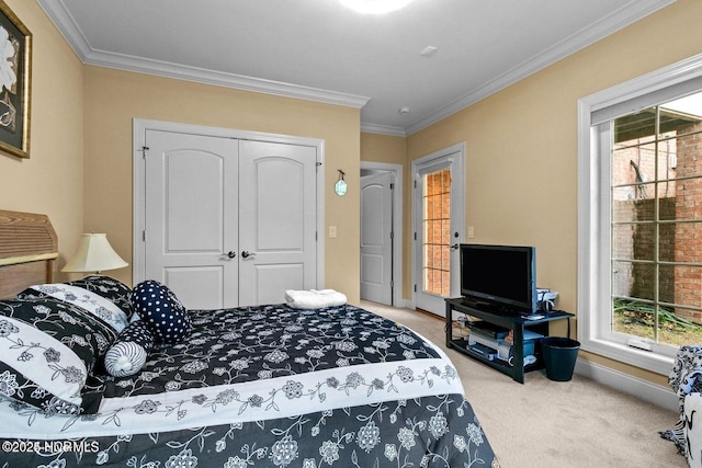 bedroom with baseboards, a closet, ornamental molding, and carpet flooring