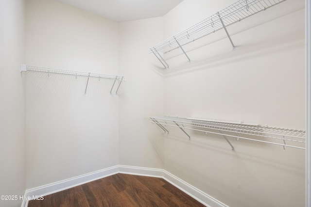 walk in closet with hardwood / wood-style floors