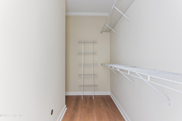 spacious closet with wood-type flooring