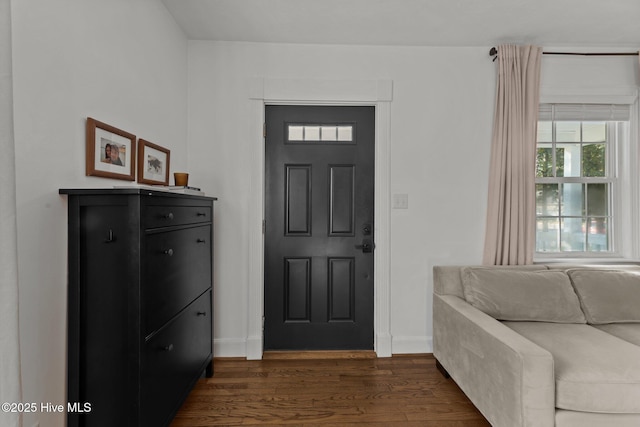 foyer entrance featuring dark hardwood / wood-style flooring