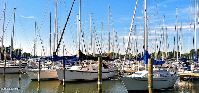 dock area with a water view