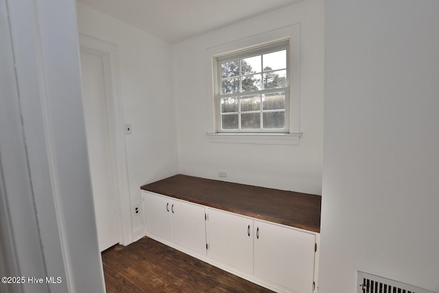 mudroom featuring dark hardwood / wood-style flooring