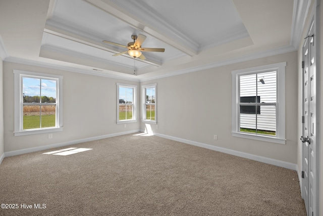 spare room with ceiling fan, crown molding, carpet floors, and a tray ceiling