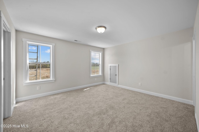 empty room featuring a wealth of natural light and light carpet