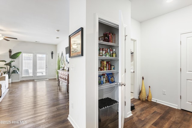 corridor with dark hardwood / wood-style flooring