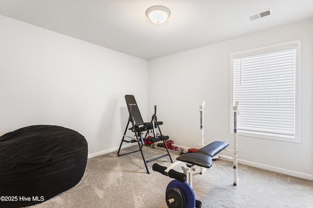 workout room with a wealth of natural light and light carpet