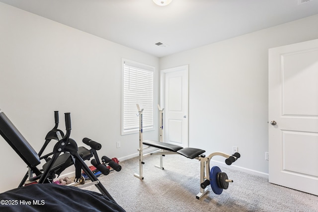 exercise area featuring carpet flooring