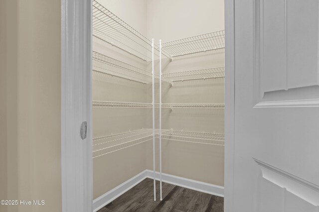 empty room featuring light colored carpet, a raised ceiling, and ceiling fan