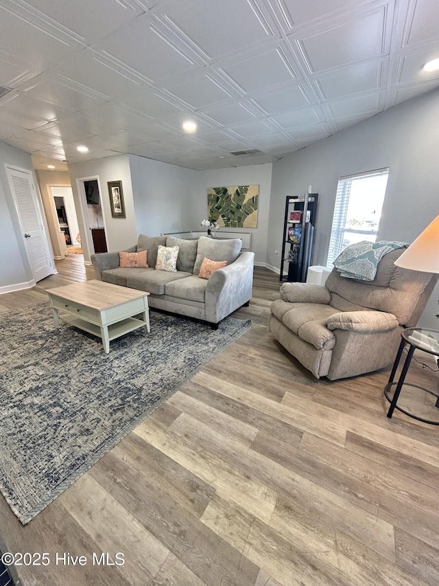 living room featuring wood-type flooring