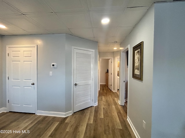 corridor with a drop ceiling and hardwood / wood-style flooring