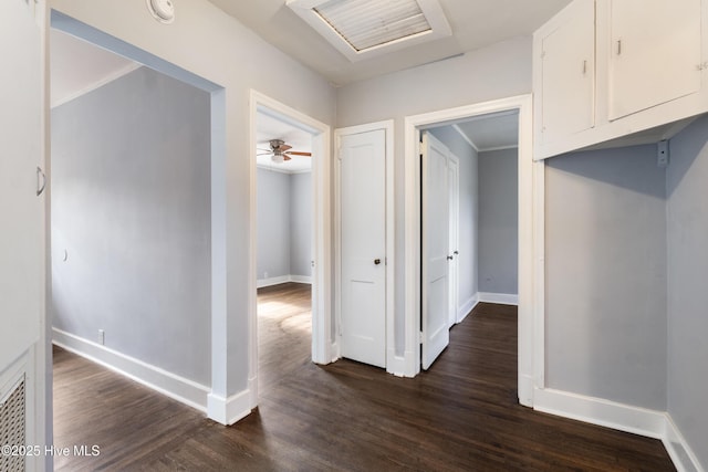 hallway featuring dark hardwood / wood-style flooring