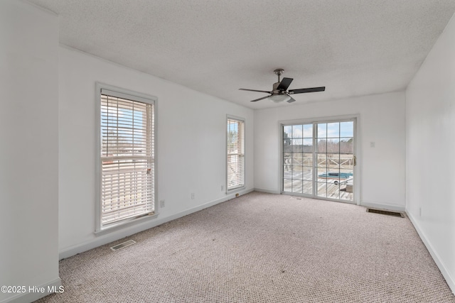 empty room with plenty of natural light, carpet flooring, and a textured ceiling