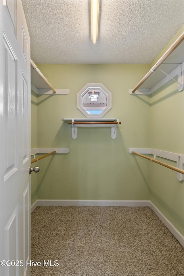 spacious closet with carpet