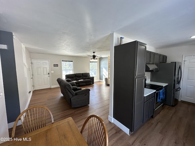 kitchen featuring dark wood-type flooring, stainless steel appliances, and ceiling fan