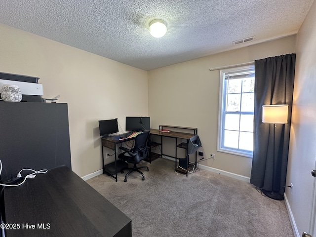 carpeted office with a textured ceiling