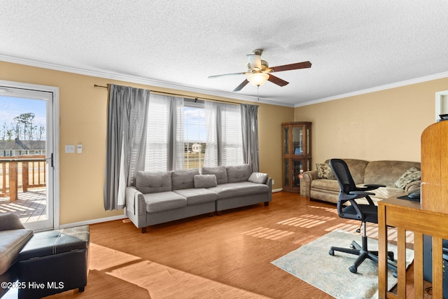 office space featuring hardwood / wood-style flooring, ornamental molding, a healthy amount of sunlight, and a textured ceiling