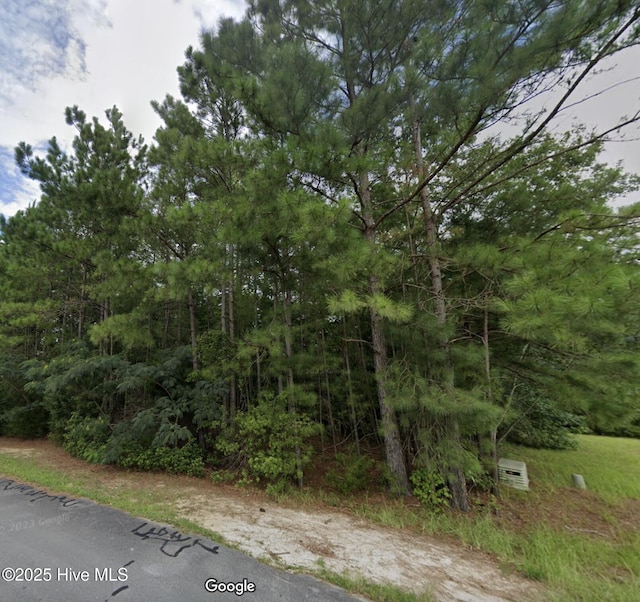 325 Farina Dr Unit 92, Havelock NC, 28532 land for sale