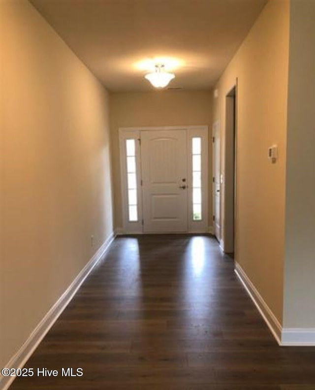 foyer featuring dark wood-type flooring