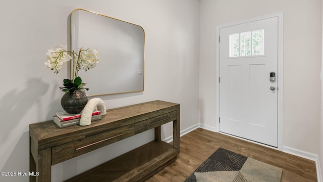 foyer entrance with hardwood / wood-style flooring