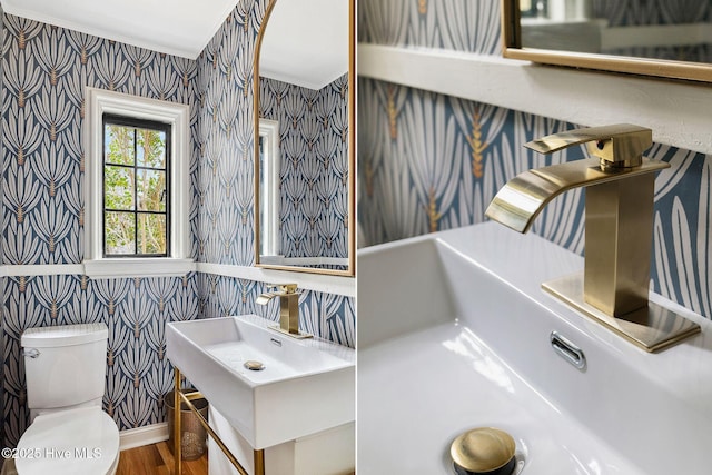 bathroom with sink, hardwood / wood-style floors, and toilet