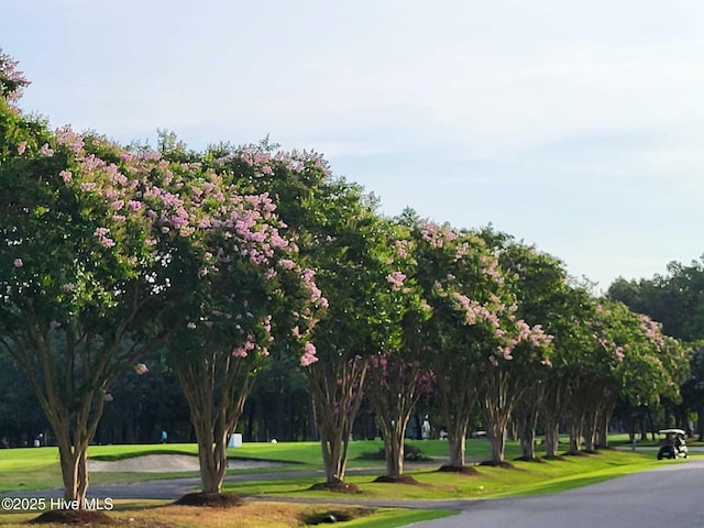 surrounding community with a yard