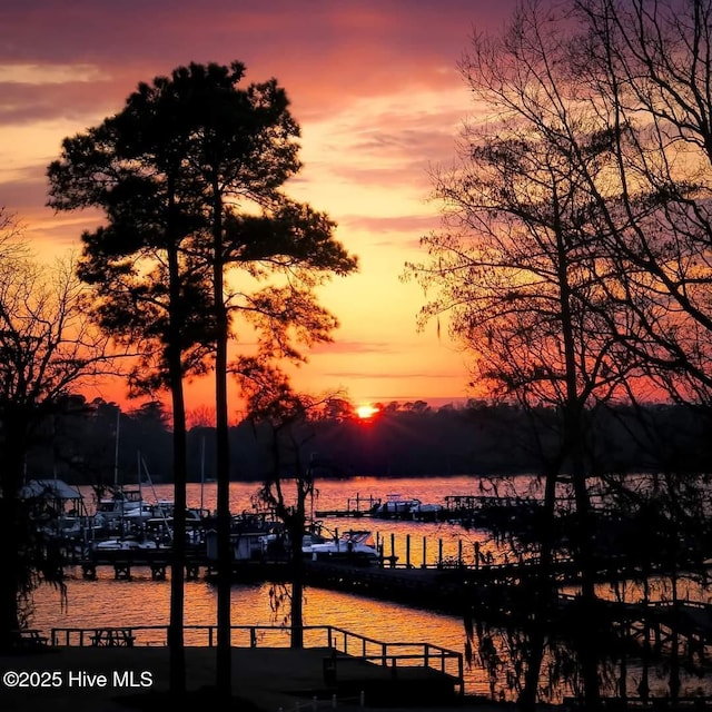 property view of water with a dock