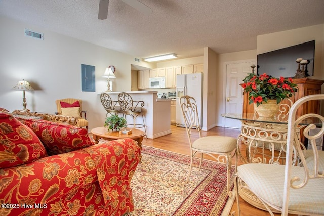 living room featuring ceiling fan, electric panel, a textured ceiling, and light hardwood / wood-style flooring