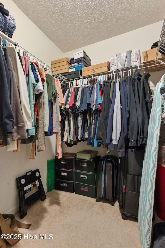 spacious closet with light colored carpet